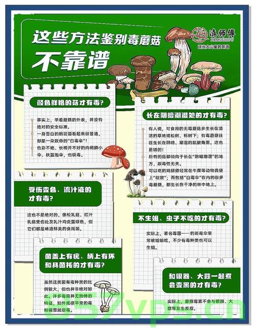 谣言揭秘，关于吃野生菌导致一家7人被毒死的真相智能免费问答EasyAI m.857vps.cn，揭秘野生菌毒性真相，一家7人中毒身亡事件探究，智能问答助你了解真相，揭秘野生菌毒性真相，探究一家7人中毒身亡事件背后的真相，智能问答助你洞悉真相 第2张