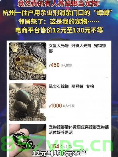 男子误杀邻居宠物螳螂，赔偿400元和解邻里纠纷智能免费问答EasyAI m.857vps.cn，男子误杀邻居宠物螳螂引发纠纷，和解获赔400元——智能问答平台EasyAI介入解决邻里纷争 第2张