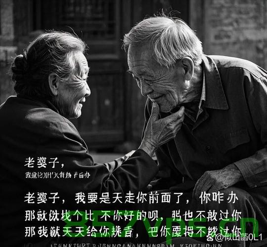 拒之门外的亲情，一位老人的心路历程智能免费问答EasyAI m.857vps.cn，拒之门外的亲情，一位老人的心路历程与智能免费问答的探寻