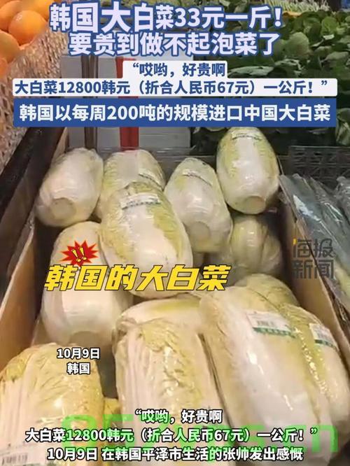 韩国高温致大白菜价格暴涨，背后的原因与影响分析智能免费问答EasyAI m.857vps.cn，韩国高温引发大白菜价格暴涨，背后的原因及影响分析 第1张