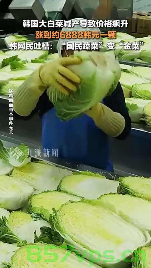 韩国高温致大白菜价格暴涨，背后的原因与影响分析智能免费问答EasyAI m.857vps.cn，韩国高温引发大白菜价格暴涨，背后的原因及影响分析 第2张