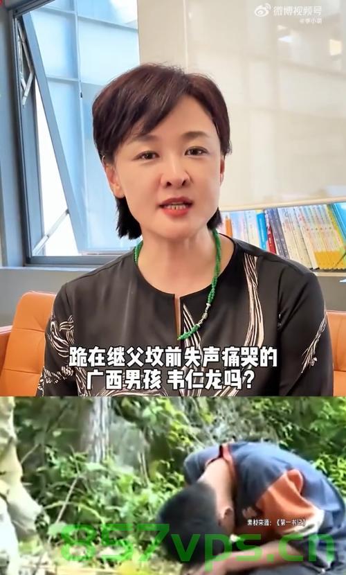 前央视主持人全网寻跪继父坟前的他智能免费问答EasyAI m.857vps.cn，前央视主持人全网寻跪继父坟前背后的故事，EasyAI智能问答解析，前央视主持人全网寻跪继父坟前背后的故事，EasyAI智能问答解析揭秘 第2张