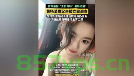 黄杨钿甜天价耳环事件最新通报智能免费问答EasyAI m.857vps.cn，黄杨钿甜天价耳环事件最新进展及智能免费问答平台解析 第2张