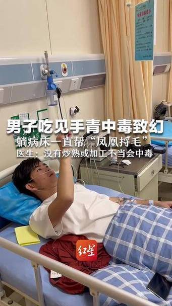男子吃见手青后的奇异经历，门朝自己飞来智能免费问答EasyAI m.857vps.cn，男子食用见手青后的奇幻经历，遭遇智能门户的神秘飞翔，免费问答解析来自EasyAI m.857vps.cn