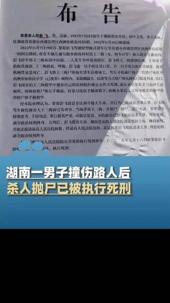 男子撞伤路人后杀人抛尸，法律铁拳下的死刑判决智能免费问答EasyAI m.857vps.cn，男子撞伤杀人抛尸案，法律铁拳下的死刑判决