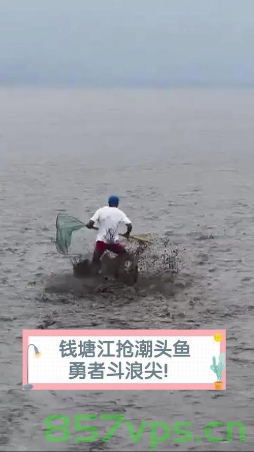 杭州紧急提醒，警惕钱塘江抢潮头鱼活动风险智能免费问答EasyAI m.857vps.cn，杭州紧急提醒，警惕钱塘江抢潮头鱼活动风险——智能问答解析 第2张