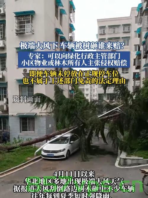 广东中山狂风暴雨引发树木砸中车辆事件纪实智能免费问答EasyAI m.857vps.cn，广东狂风暴雨引发树木砸车事件，EasyAI记录实时纪实，广东狂风暴雨引发树木砸车事件，EasyAI实时纪实报道，现场直击中山纪实智能问答系统纪实报道纪实智能问答系统纪实报道纪实智能问答系统纪实报道纪实智能问答纪实系统纪实报道纪实智能免费问答系统m.857vps.cn 第1张