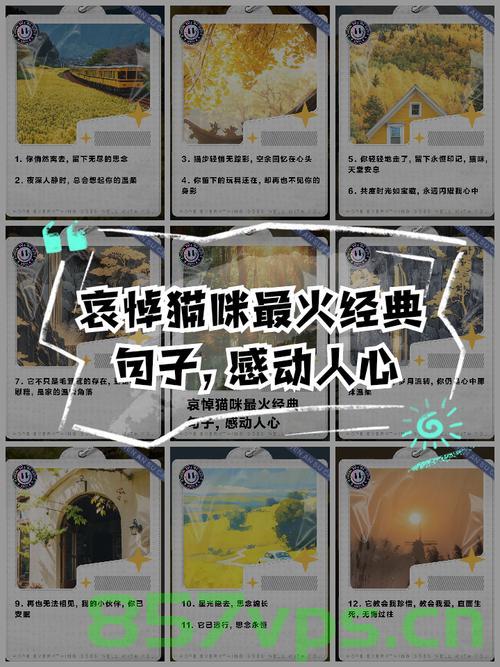悼念92岁网红猫奶奶离世，留下无尽怀念与感慨智能免费问答EasyAI m.857vps.cn，悼念网红猫奶奶离世，无尽怀念与感慨的智能问答时代 第1张