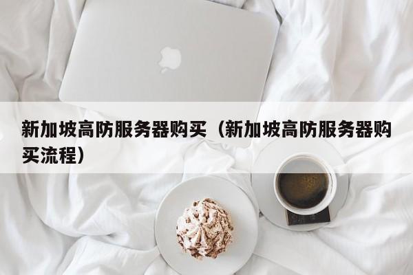 新加坡高防服务器购买（新加坡高防服务器购买流程），新加坡高防服务器购买指南，流程详解，新加坡高防服务器购买指南，流程详解与选购建议，新加坡高防服务器购买指南，流程详解及选购建议，新加坡高防服务器购买指南，流程详解与选购建议全攻略，新加坡高防服务器购买全攻略，流程详解与选购建议，新加坡高防服务器购买全攻略，流程详解与选购建议，新加坡高防服务器购买全攻略，流程详解与选购建议