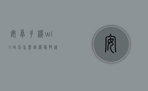 安卓手机wifi域名怎么设置最快速（安卓手机怎么设置wifi的dns），如何快速设置安卓手机WiFi域名（DNS）以提升连接速度？，如何快速设置安卓手机WiFi域名（DNS）以提升连接速度？全面指南 第1张