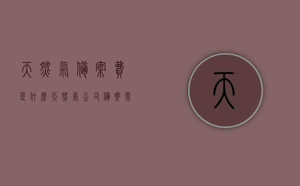天然气备案费是什么（天然气公司备案需要什么材料），天然气备案费详解，概念及备案所需材料一览