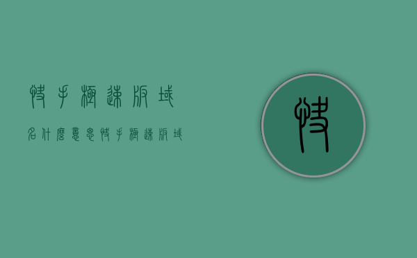 快手极速版域名什么意思（快手极速版域名什么意思啊），快手极速版域名解析，含义与功能解析，快手极速版域名解析，含义、功能与深度解析