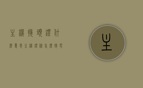 主机接头灯什么意思（主机灯条怎么接电源线），主机接头灯详解，如何正确连接主机灯条与电源线？，主机接头灯详解，如何正确连接灯条与电源线？，主机接头灯详解，如何正确连接灯条与电源线？，主机接头灯详解，如何正确连接灯条与电源线？，主机接头灯详解，灯条与电源线的正确连接指南，主机接头灯详解，灯条与电源线的连接指南，主机接头灯详解，灯条与电源线的连接指南及正确操作步骤