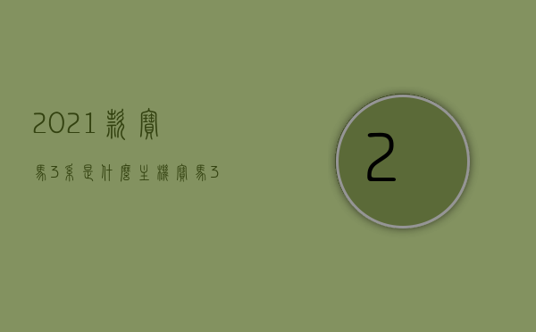 2021款宝马3系是什么主机（宝马3系cic主机），揭秘2021款宝马3系主机，CIC主机详解，揭秘2021款宝马3系主机，CIC主机详解
