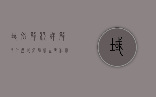 域名解析详解是什么（域名解析主要作用是什么），域名解析详解，域名解析的主要作用及其工作原理