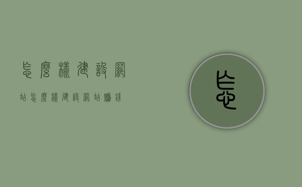 怎么样建设网站（怎么样建设网站赚钱），如何建设网站并盈利，赚钱网站的建设指南 第1张