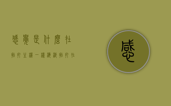 感觉是什么在拍打主机一样（海浪拍打在身上是什么感觉），主机拍打声与海浪触肤感，一种独特的体验描述