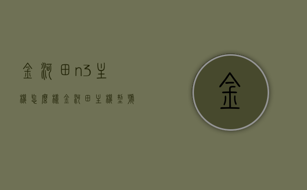 金河田n3主机怎么样（金河田主机型号），金河田n3主机评测及型号介绍，金河田n3主机评测与型号介绍，全面解析性能及使用体验！
