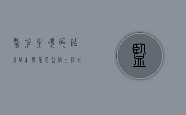 监控主机的作用是什么意思（监控主机是干嘛用的），监控主机的作用与意义，全面解析监控主机的功能及应用