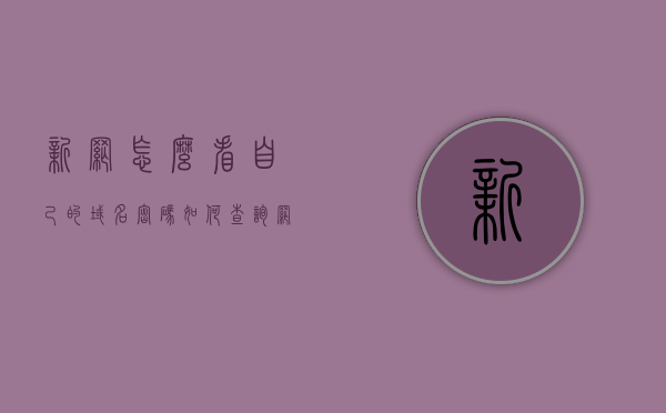 新网怎么看自己的域名密码（如何查询网址的新域名），如何查看自己的域名密码（新网域名查询方法），新网域名查询方法与密码查看指南，轻松掌握如何查看自己的域名密码及新域名查询方法，新网域名密码查看指南，轻松掌握查询方法与域名查询新技巧