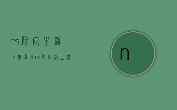 ns限定主机什么意思（ns限定版主机有哪几种），NS限定主机详解，含义与种类全解析