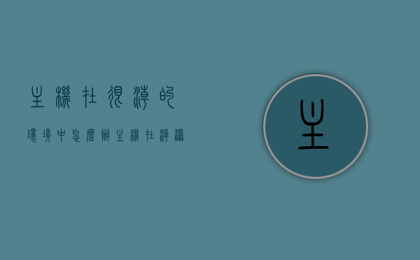 主机在很潮的环境中怎么办（主机在潮湿环境下），主机在潮湿环境下的应对策略与保护建议，主机在潮湿环境下的应对策略及保护建议，主机在潮湿环境下的防护策略与应对建议，保护主机免受潮湿环境影响，主机潮湿环境下的防护策略与应对建议，保护主机免受潮湿损害，主机潮湿环境下的防护策略与保护建议，避免损害的有效应对建议