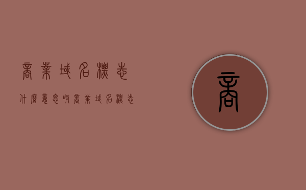 商业域名标志什么意思呀（商业域名标志什么意思呀），商业域名标志的含义解析，商业域名标志的含义解析与解读，深度理解商业域名的标志意义