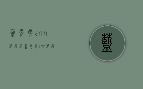 蓝光云arm服务器（蓝光云arm服务器怎么样），蓝光云ARM服务器的性能与特点解析，蓝光云ARM服务器的性能与特点深度解析，专业评估与解析报告