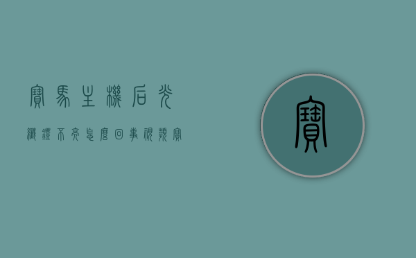 宝马主机后光纤灯不亮怎么回事视频（宝马主机线束图解），宝马主机后光纤灯不亮原因解析及线束图解视频