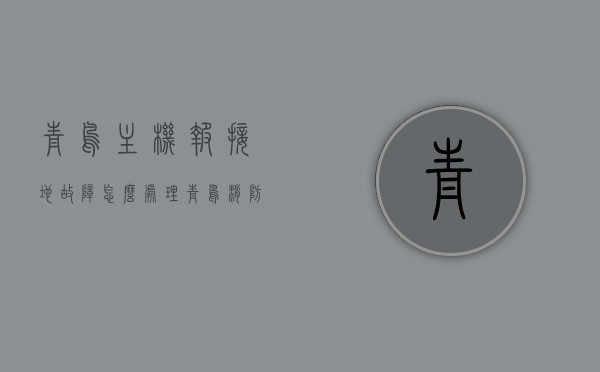 青鸟主机报接地故障怎么处理（青鸟消防主电故障怎么解决），青鸟主机接地故障及消防主电故障处理指南，青鸟主机接地故障与消防主电故障处理指南，故障排查与解决方案全解析，青鸟主机接地故障及消防主电故障处理全解析，指南与解决方案，青鸟主机接地故障及消防主电故障处理详解，指南与解决方案全解析，青鸟主机接地故障及消防主电故障处理详解，指南与解决方案全解析