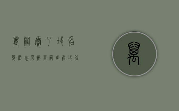 万网卖了域名然后怎么办（万网出售域名），万网出售域名后续发展策略探讨 第1张