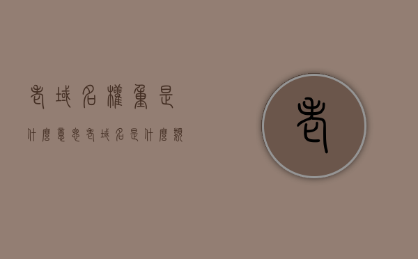 老域名权重是什么意思（老域名是什么类名），老域名权重解析，什么是老域名及其影响力？