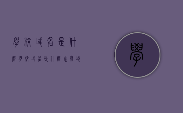 学校域名是什么（学校域名是什么怎么填），学校域名解析及填写指南 第1张