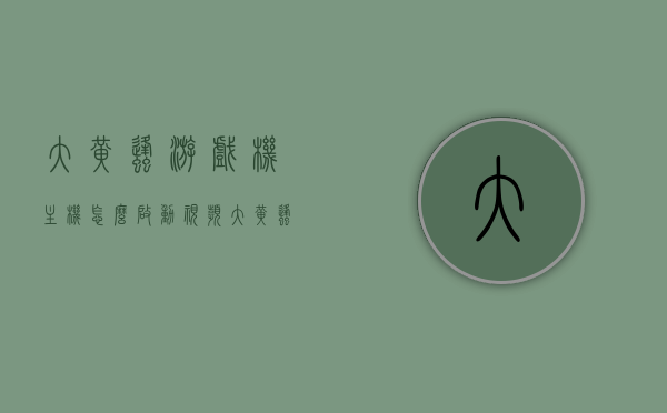 大黄蜂游戏机主机怎么启动视频（大黄蜂手柄使用说明），大黄蜂游戏机启动教程及手柄使用指南视频分享，大黄蜂游戏机启动教程及手柄使用指南视频分享，启动步骤与手柄操作详解