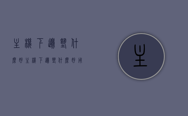 主机下边垫什么好（主机下边垫什么好用），主机底部垫什么好，精选主机垫使用指南，主机底部垫物推荐与精选主机垫使用指南