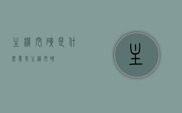 主机挖矿是什么意思（主机 挖矿），主机挖矿，概念解析与操作指南，主机挖矿详解，概念解析、操作指南及实践应用，主机挖矿全解析，概念、操作指南及实践应用指南，主机挖矿，概念解析、操作指南与实践应用全攻略