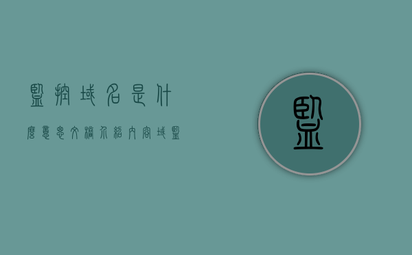 监控域名是什么意思文档介绍内容（域 监控），监控域名的含义与文档介绍