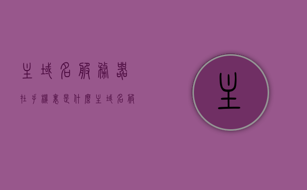 主域名服务器在手机里是什么（主域名服务器ip地址是什么），手机中的主域名服务器及其IP地址解析