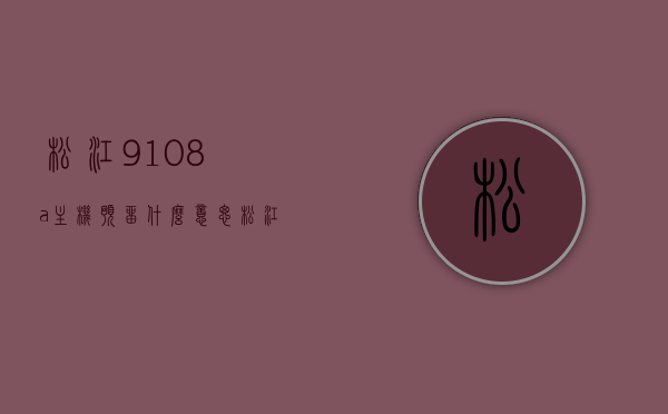 松江9108a主机预留什么意思（松江9108g主机怎么预留），松江9108系列主机预留详解，从预留概念到操作指南（附9108A与9108G主机预留教程），松江9108系列主机预留详解，从预留概念到操作指南，包括9108A与9108G主机预留教程