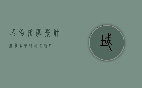 域名抢滩期什么意思啊（抢域名软件），域名抢滩期解析与抢域名软件使用指南