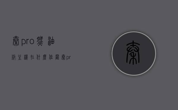 秦pro燃油版主机在什么位置（秦pro燃油版刷隐藏功能），秦Pro燃油版主机位置及隐藏功能解析