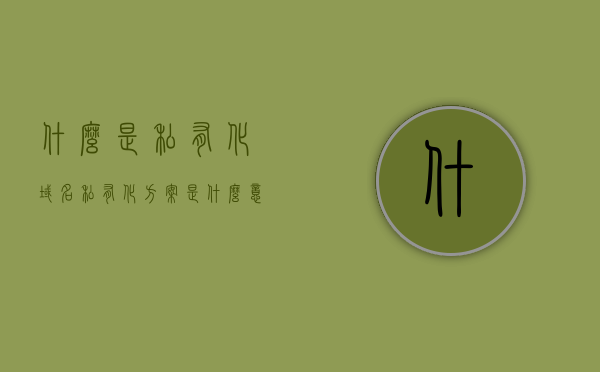 什么是私有化域名（私有化方案是什么意思），私有化域名的概念与私有化方案详解，私有化域名解析及私有化方案详解，概念、应用与优势探讨，私有化域名详解，概念、方案、应用与优势探讨，私有化域名详解，概念、方案、应用与优势全面探讨私有化域名概念及优势解析，从概念到应用全面探讨私有化方案