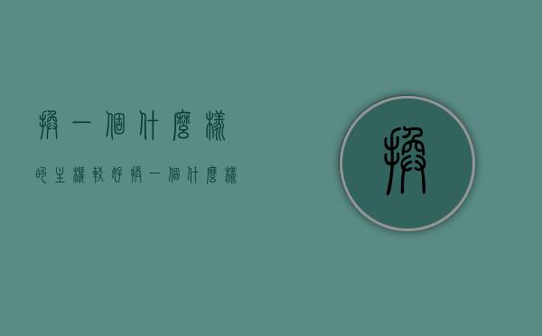 换一个什么样的主机较好（换一个什么样的主机较好一点），如何选择更优的主机，购买建议与比较策略，如何选择更优主机，购买建议与比较策略