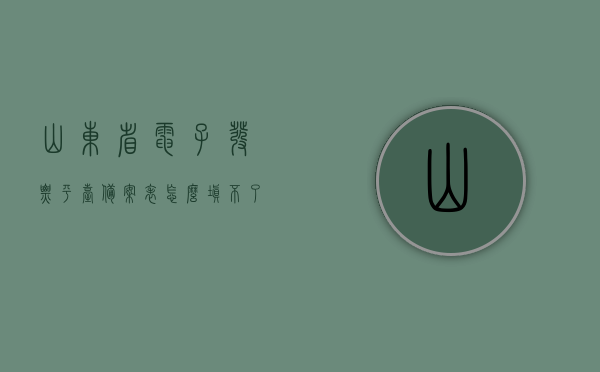 山东省电子发票平台备案表怎么填不了（电子发票平台情况备案表），山东省电子发票平台备案表填写指南及常见问题解决方案（备案表填写问题），山东省电子发票平台备案表操作指南及问题解决方案，填写困难与解决方案，山东省电子发票平台备案表填写指南及问题解决方案，操作指南、常见问题与解决方案汇总，山东省电子发票平台备案表填写指南及问题解决方案全攻略，操作指南与常见问题解析