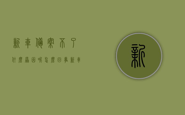 新车备案不了什么原因呢怎么回事（新车机动车备案不了什么原因），新车备案失败的原因及解决方法（机动车备案难题解析），新车备案失败原因解析及解决方法，机动车备案难题深度探讨
