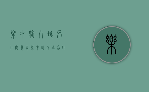 乐才输入域名什么意思（乐才输入域名什么意思啊），乐才输入域名的含义解析，乐才输入域名的含义解析与解析探讨