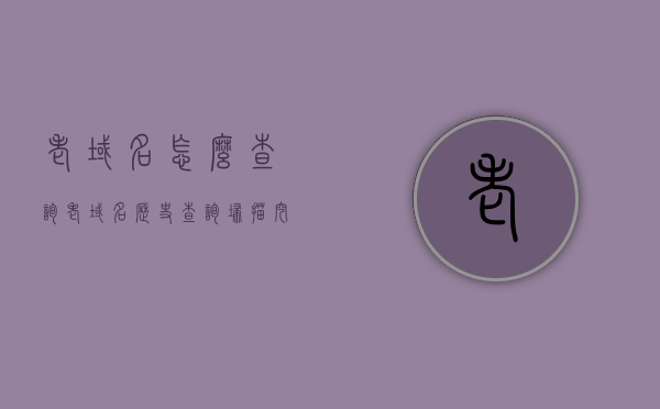 老域名怎么查询（老域名历史查询扫描挖掘工具），老域名查询方法与历史挖掘工具介绍，老域名查询方法与历史挖掘工具详解，历史查询扫描工具介绍及如何查询老域名