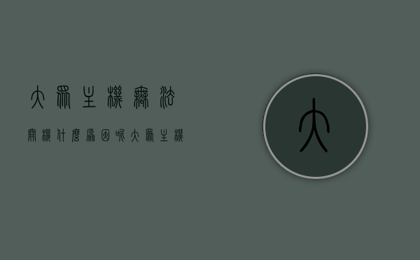 大众主机无法关机什么原因呢（大众主机不开机），大众主机故障，无法关机与开机问题的原因探究，大众主机故障解析，无法关机与开机问题的原因探究，大众主机故障解析，无法关机与开机问题的原因探究及解析，大众主机故障解析，无法关机与开机问题的原因探究及深度解析