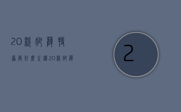 20款帕萨特原厂什么主机（20款帕萨特330精英版主机是什么型号），20款帕萨特原厂主机型号解析，330精英版主机型号一览，20款帕萨特原厂主机型号解析，帕萨特330精英版主机型号一览，20款帕萨特原厂及帕萨特330精英版主机型号解析与一览