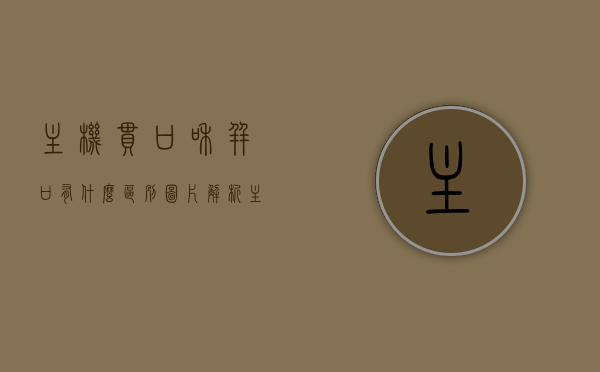 主机串口和并口有什么区别图片解析（主机串口和并口有什么区别图片解析视频），主机串口与并口区别详解，图文及视频解析指南，主机串口与并口详解，图片、图文及视频解析指南，区别一网打尽